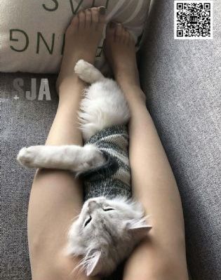 男插女青春影院